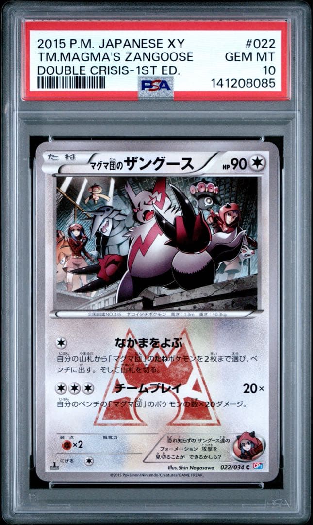 PSA10 2連番 アクア団のハブネーク マグマ団のザングース ポケモンカード