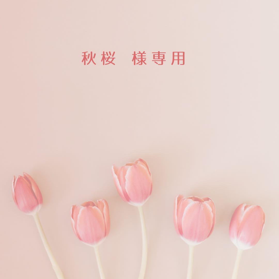 秋桜
