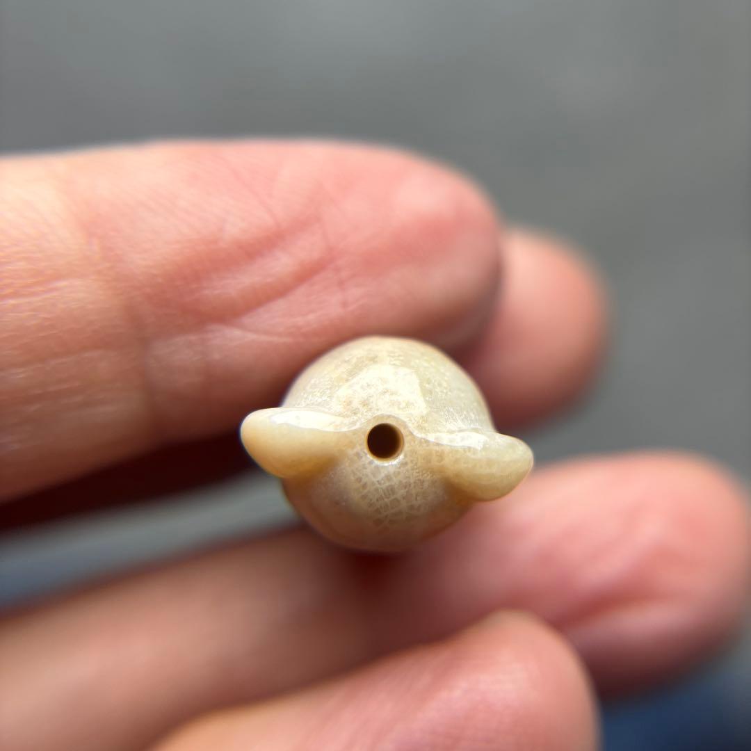 たまきフォッシルコーラル　クマパーツ　1-161