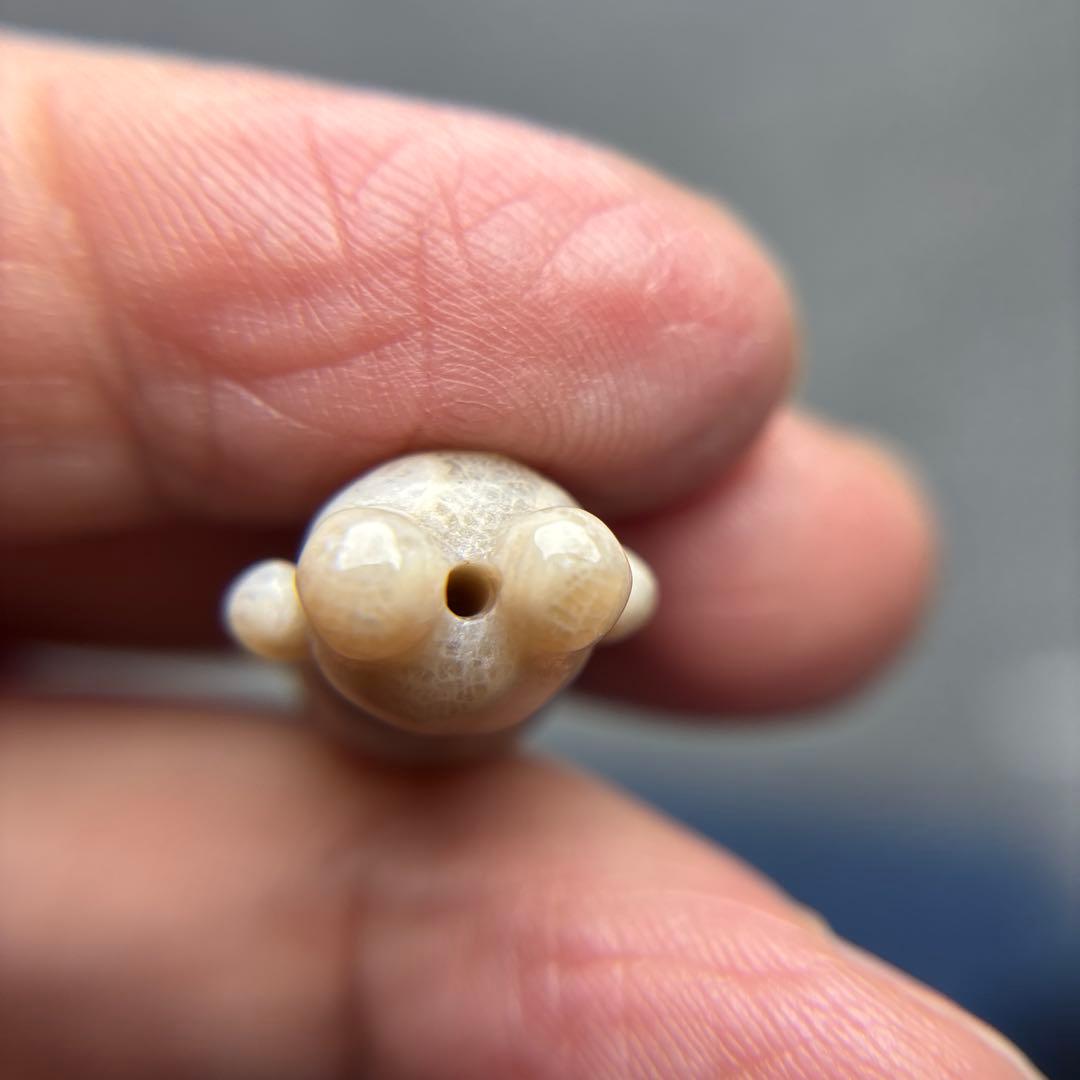 たまきフォッシルコーラル　クマパーツ　1-161