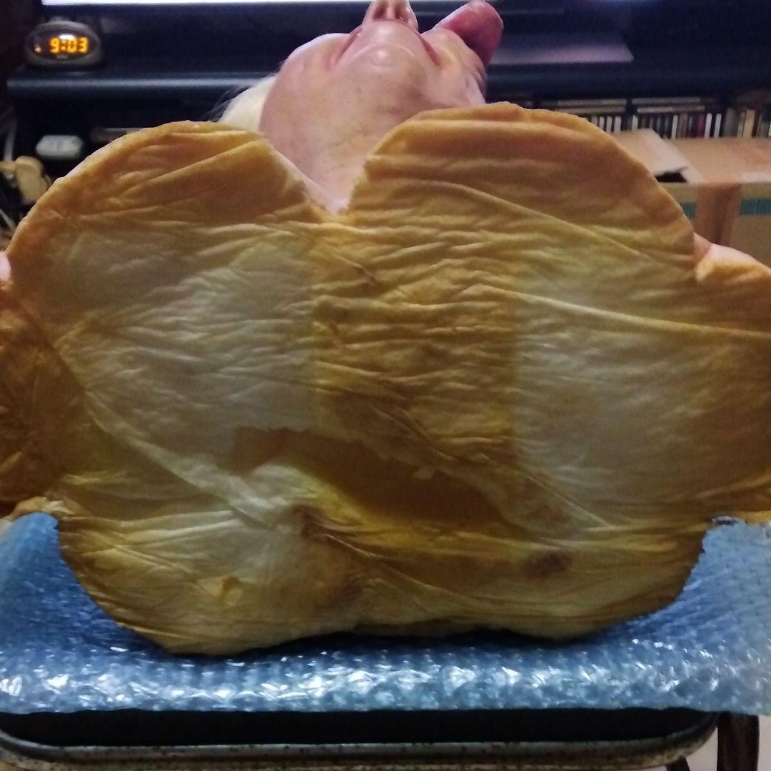 1/1ライフサイズバスト・ラバーマスク