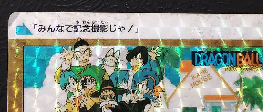 ドラゴンボールカードダス　初版B-②カメハウスの仲間