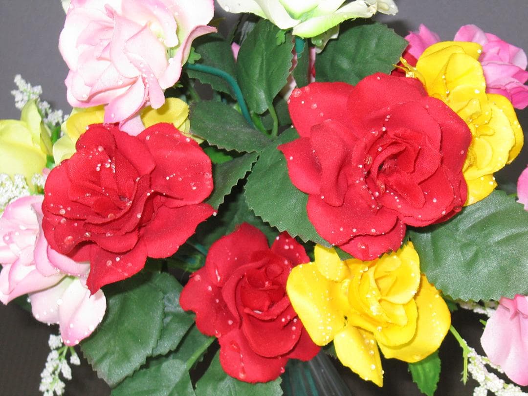 Canon PowerShot S60 コンパクトデジタルカメラ 希少美品