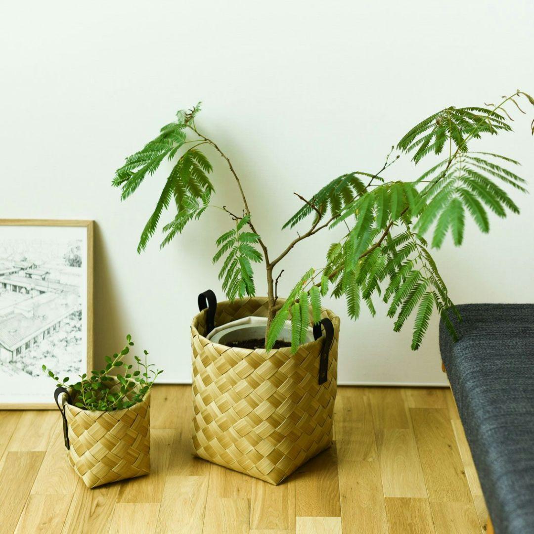 北欧、暮らしの道具店 洗える収納バスケット / Lサイズ