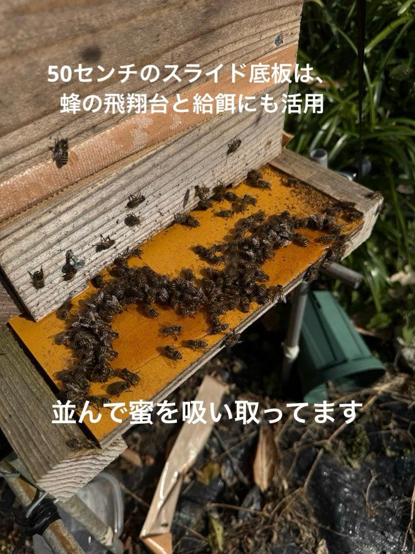 ニホンミツバチ重箱式巣箱4段 スライド底板 付巣門台座　スノコ付き　セット割引有