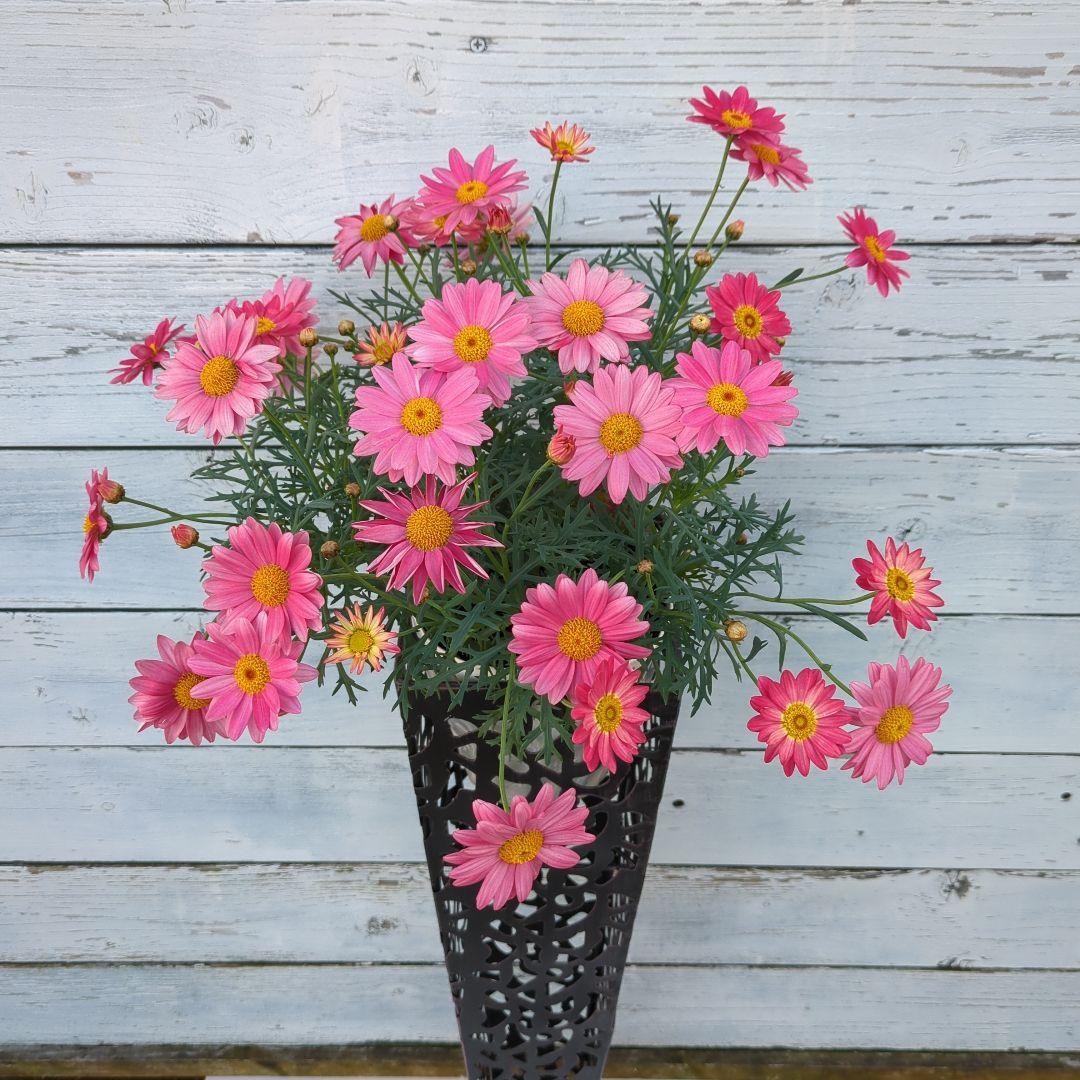 お洒落なフラワースタンド