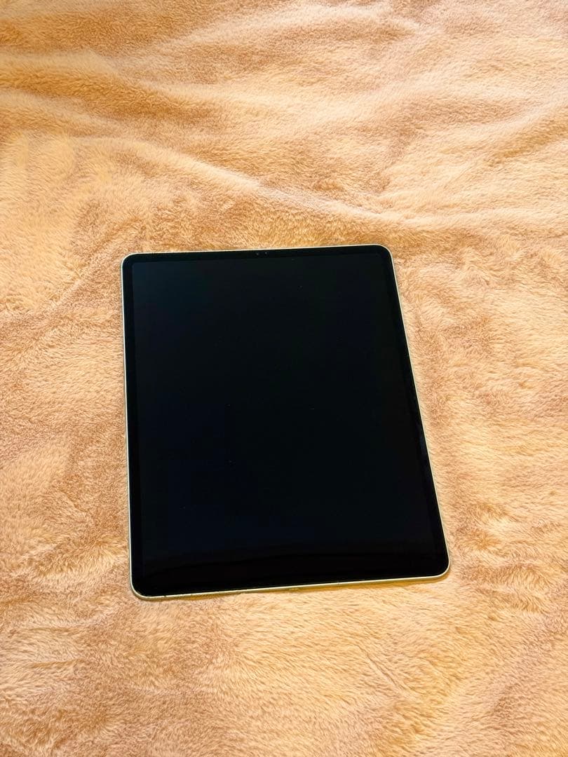 iPad Pro 12.9(第3世代) Wi-Fi 256GB,Pencil付き