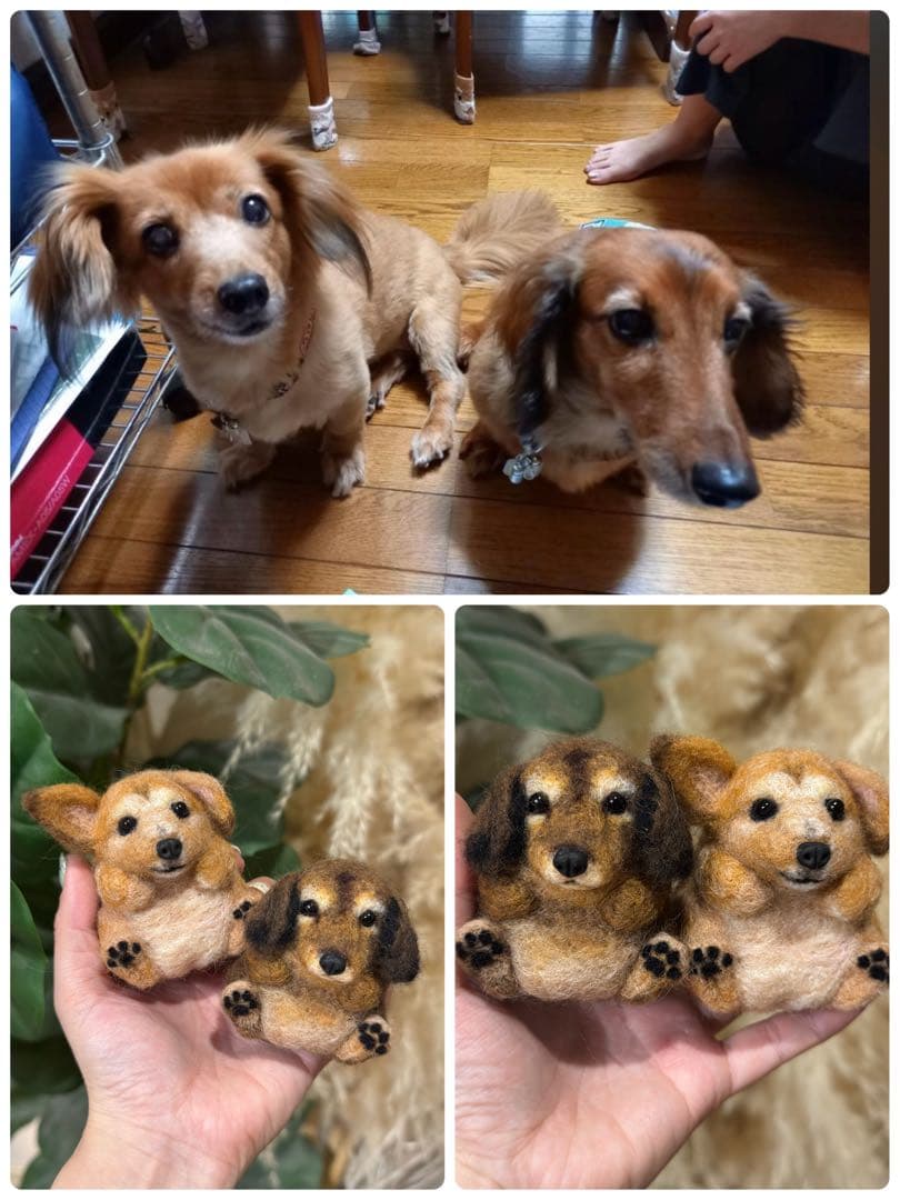まんまるあにまるず　羊毛フェルト　うちの子　ペット　オーダー　マスコット