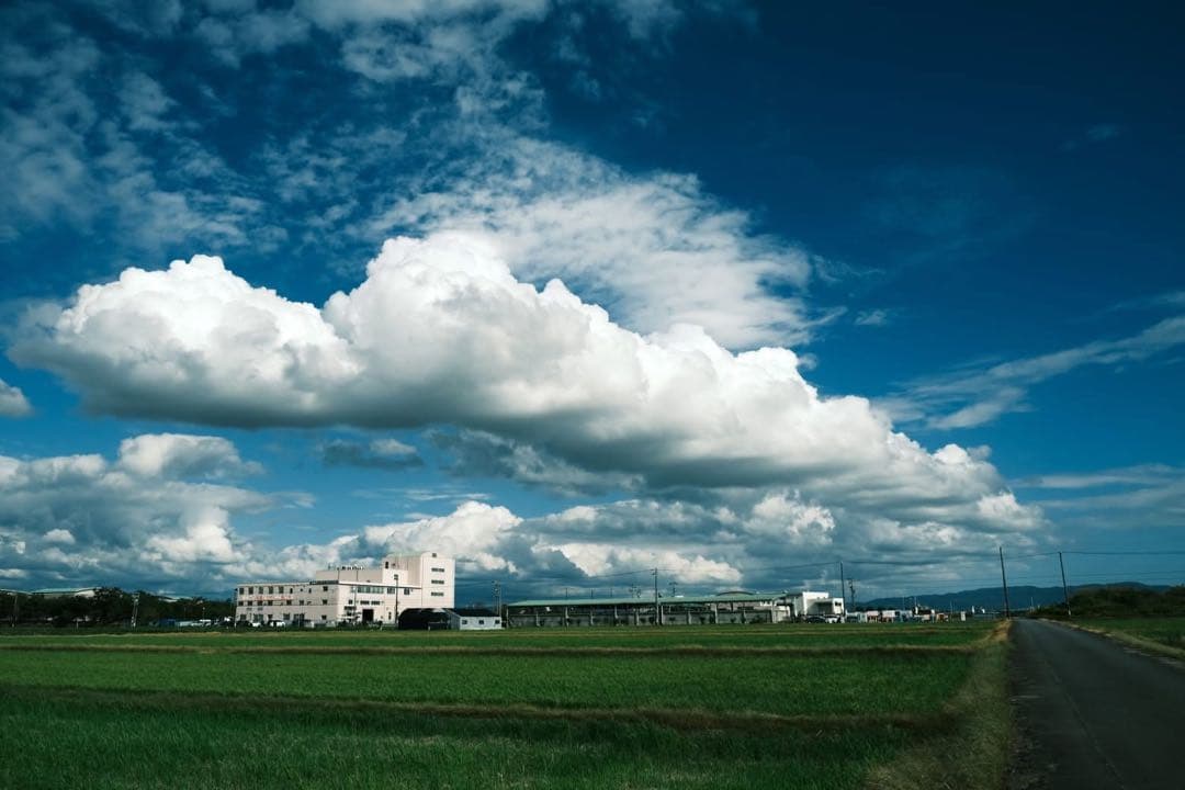 Sony α7II