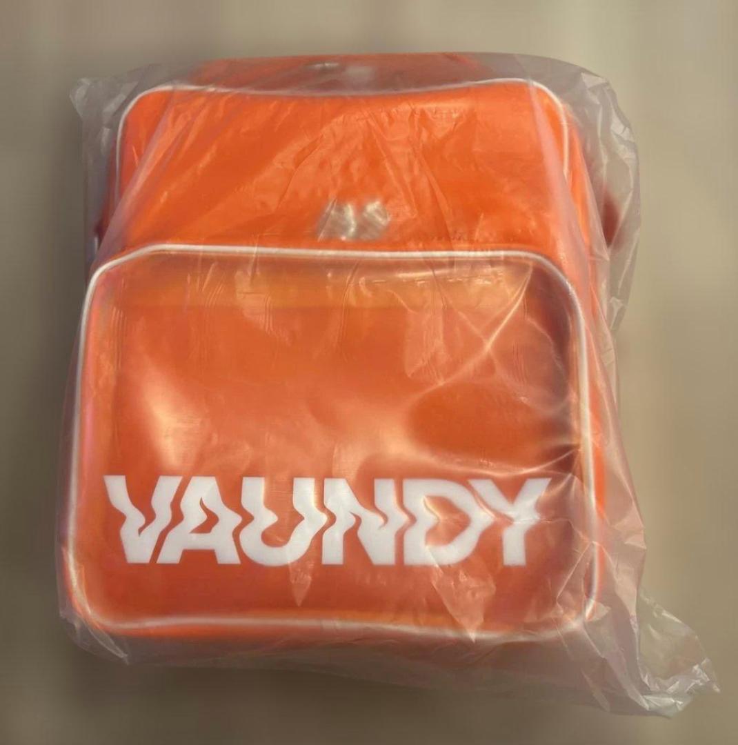 VAUNDY オレンジバッグ 透明ポケット付き