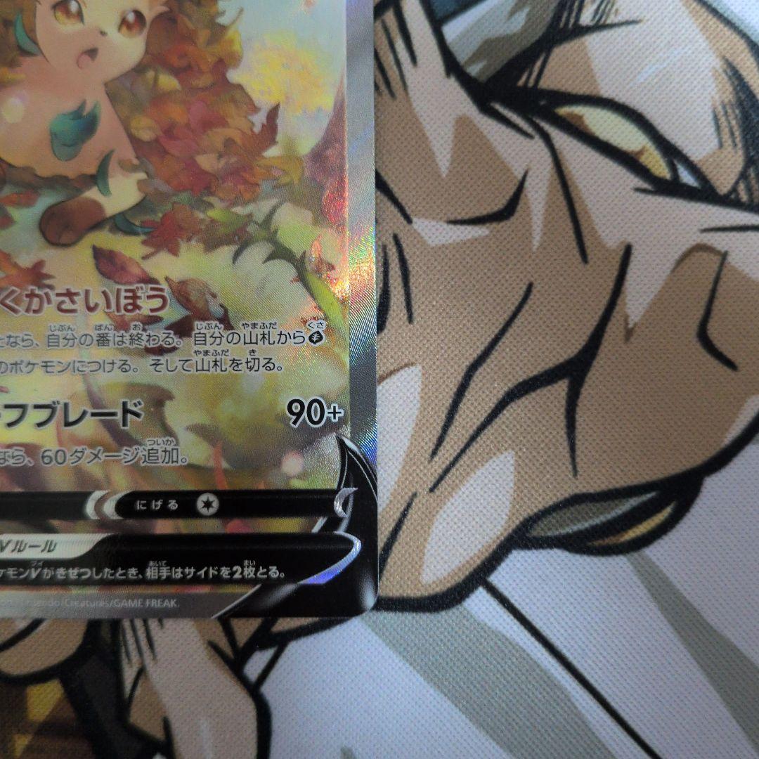 グレイシアV sa　リーフィアV sa