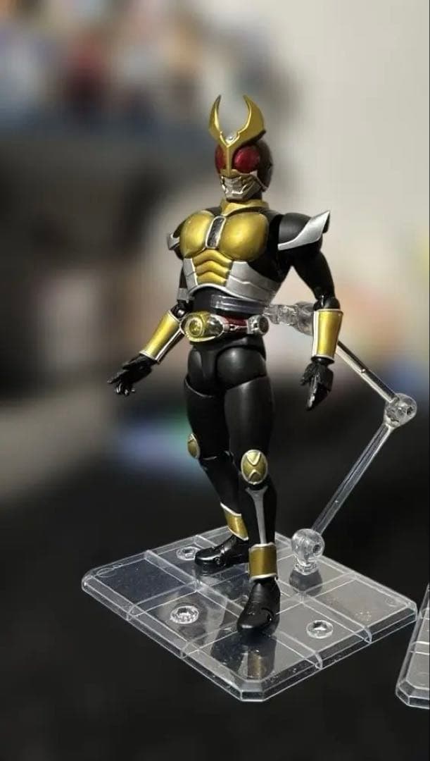 S.H.Figuarts 真骨彫製法 仮面ライダーアギト
