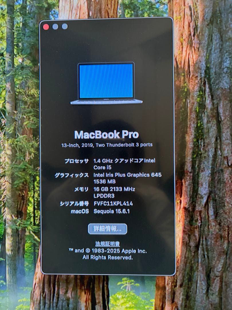 ⚓*⚓様 MacBook Pro 13.3inch 2019【ジャンク品】