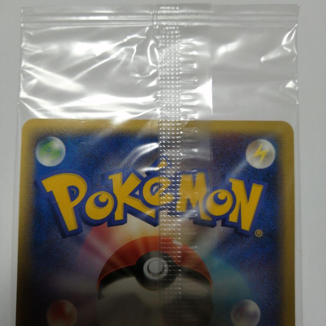 ポケモンカード　ポケパークのミズゴロウ　未開封　プロモ