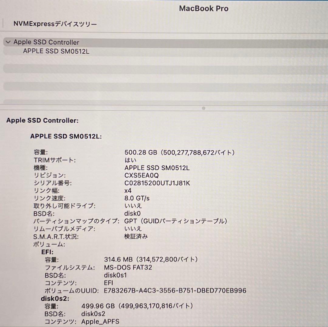 美品 MacBook Pro 15インチ バッテリー容量：100%