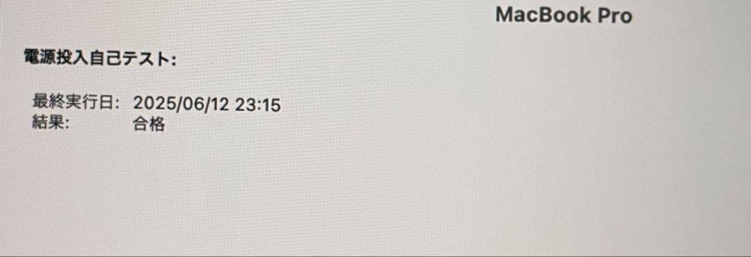 美品 MacBook Pro 15インチ バッテリー容量：100%
