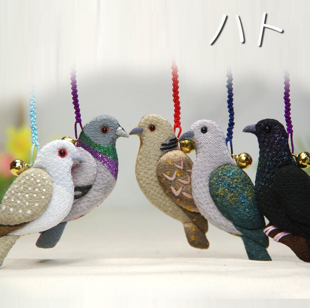 ウスユキバト　カワラバト　キジバト 　ミカドバト 　アカガシラカラスバト