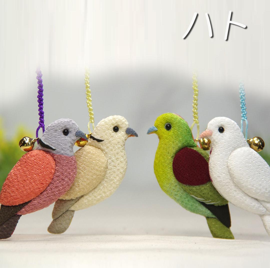 ウスユキバト　カワラバト　キジバト 　ミカドバト 　アカガシラカラスバト