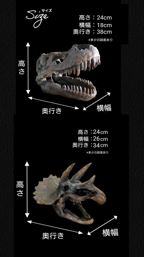 ✨お得なセット✨ ティラノサウルス トリケラトプス 化石 ジュラシックワールド