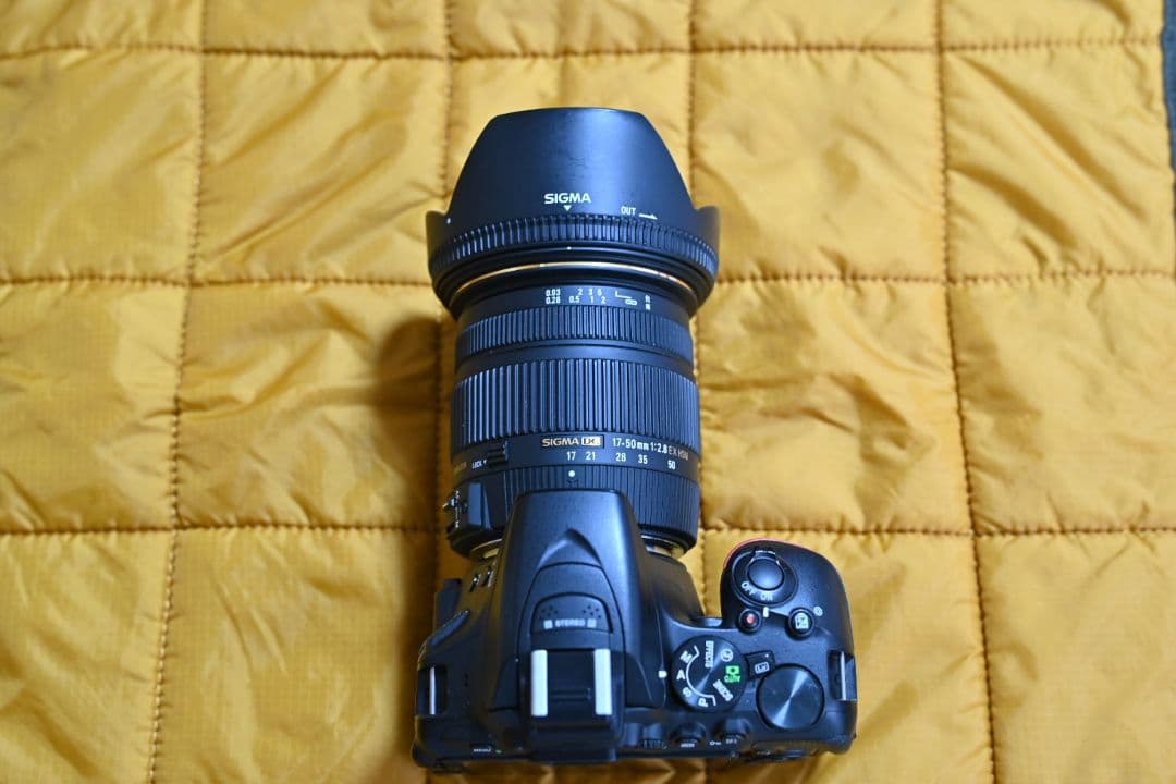 美品Nikon D5600 + Sigma標準レンズセット