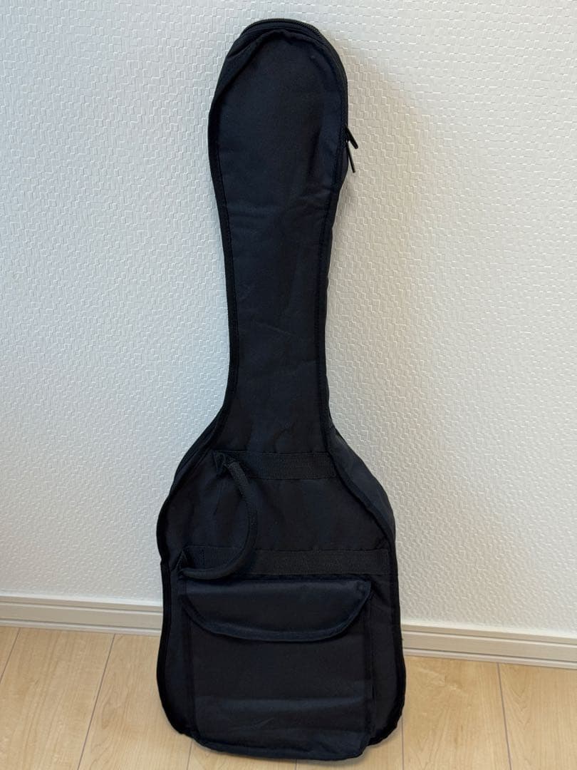 SCHECTER OL-FL SSG Oriental Line エレアコギター