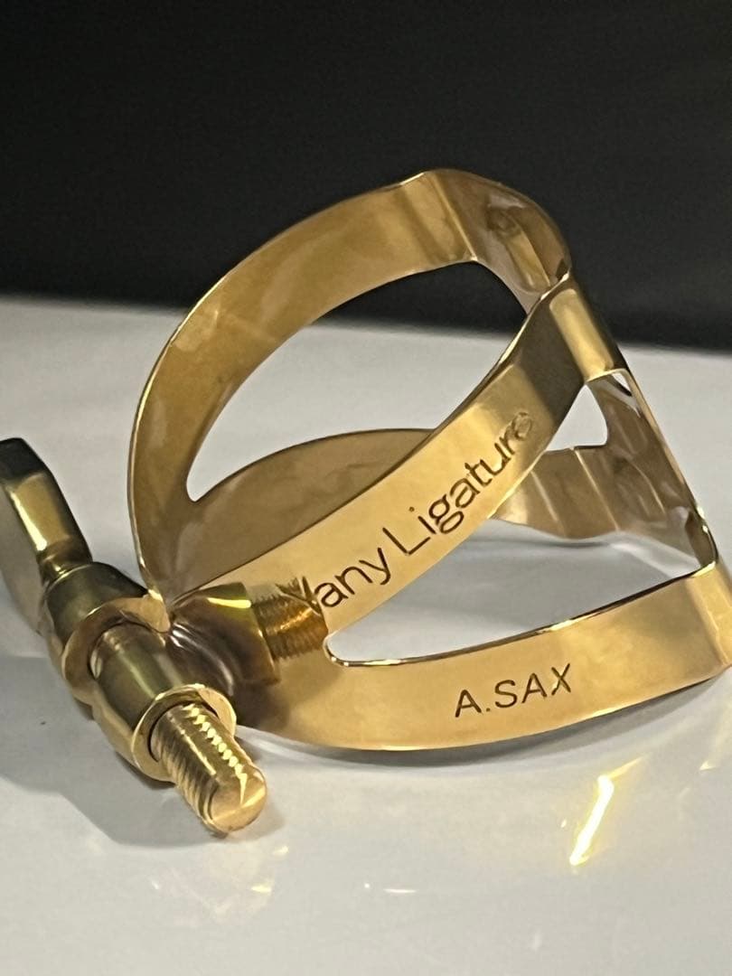 ヤナギサワ　ヤニーリガチャー　アルトサックス Yany yanagisawa美品