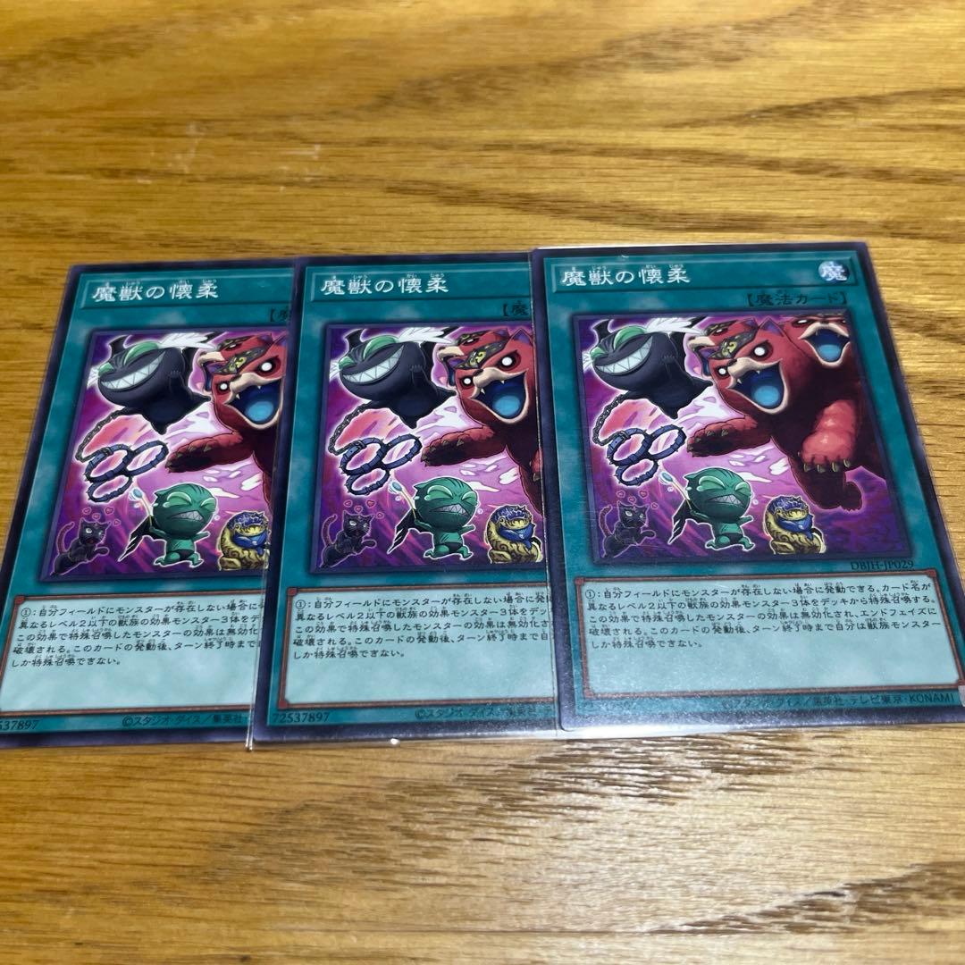 【遊戯王】 ヤミー 構築済みデッキ