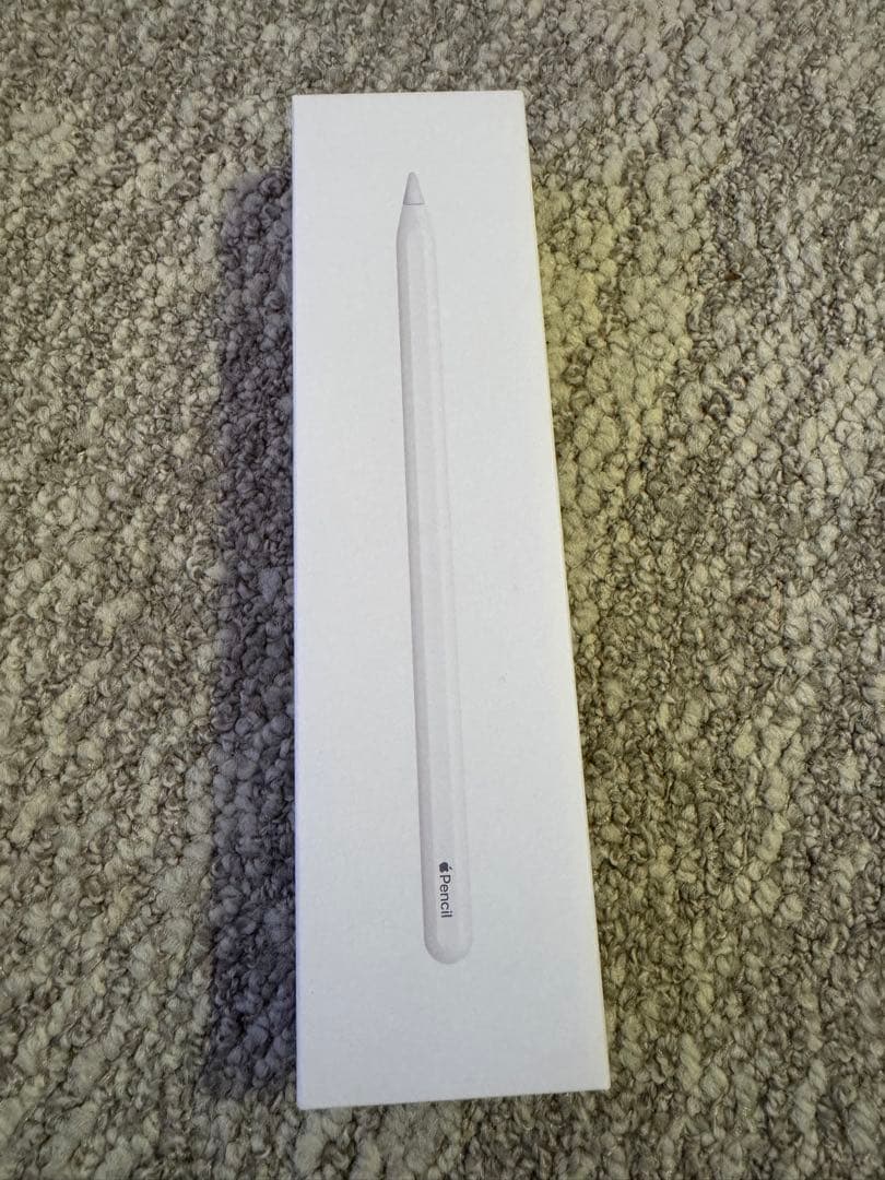 Naka Apple iPad Pro 11インチ 256GB第2世代