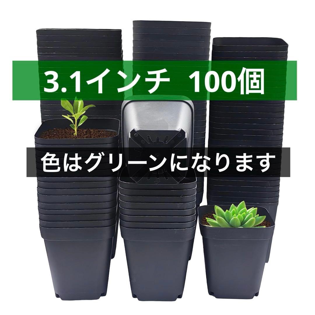 正方形 育苗ポット 3.1インチ 100個 多肉植物 プラスチック 保育園