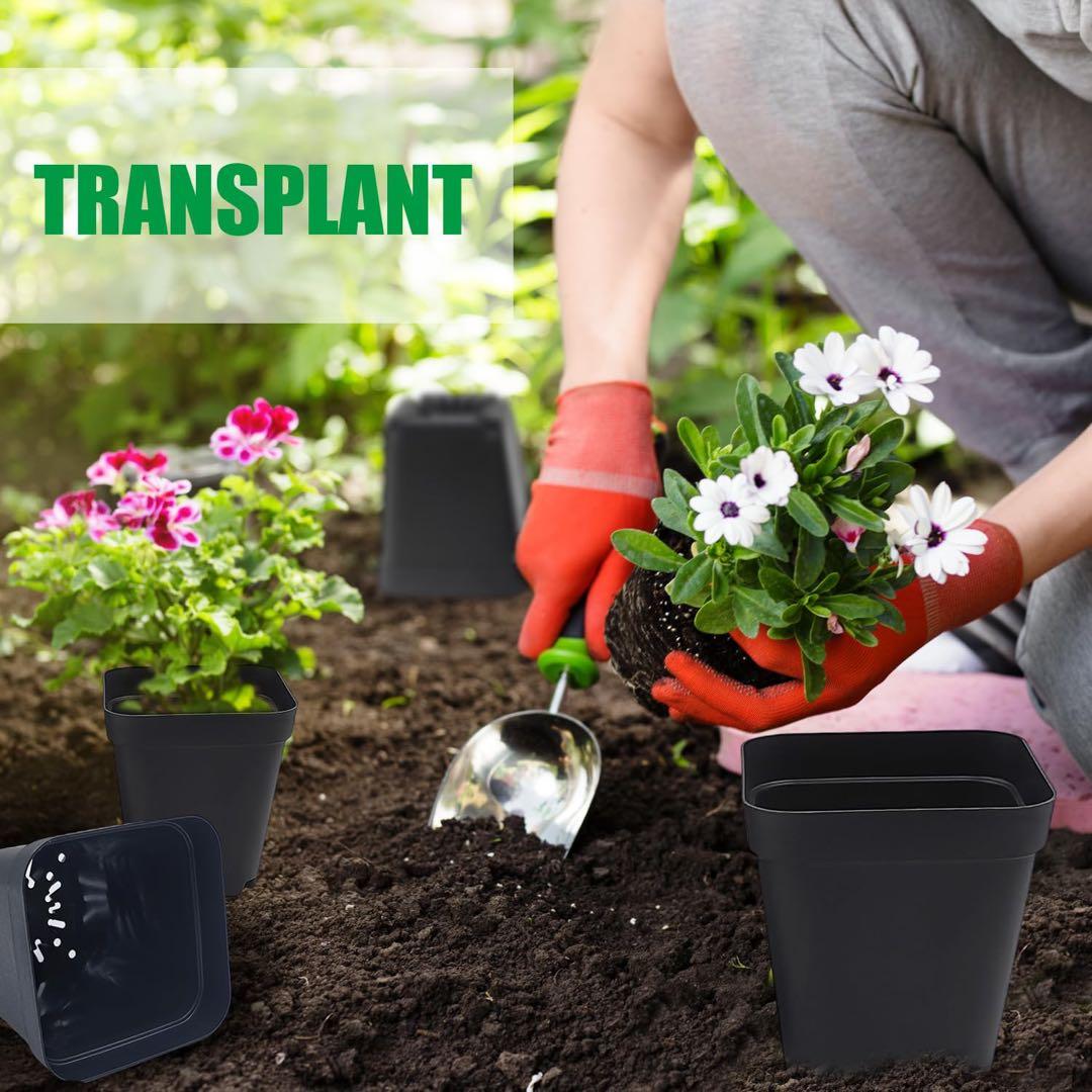 正方形 育苗ポット 3.1インチ 100個 多肉植物 プラスチック 保育園