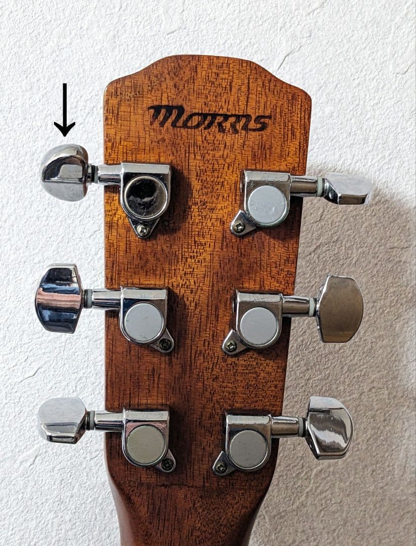 Morris F-01NAT アコースティックギター