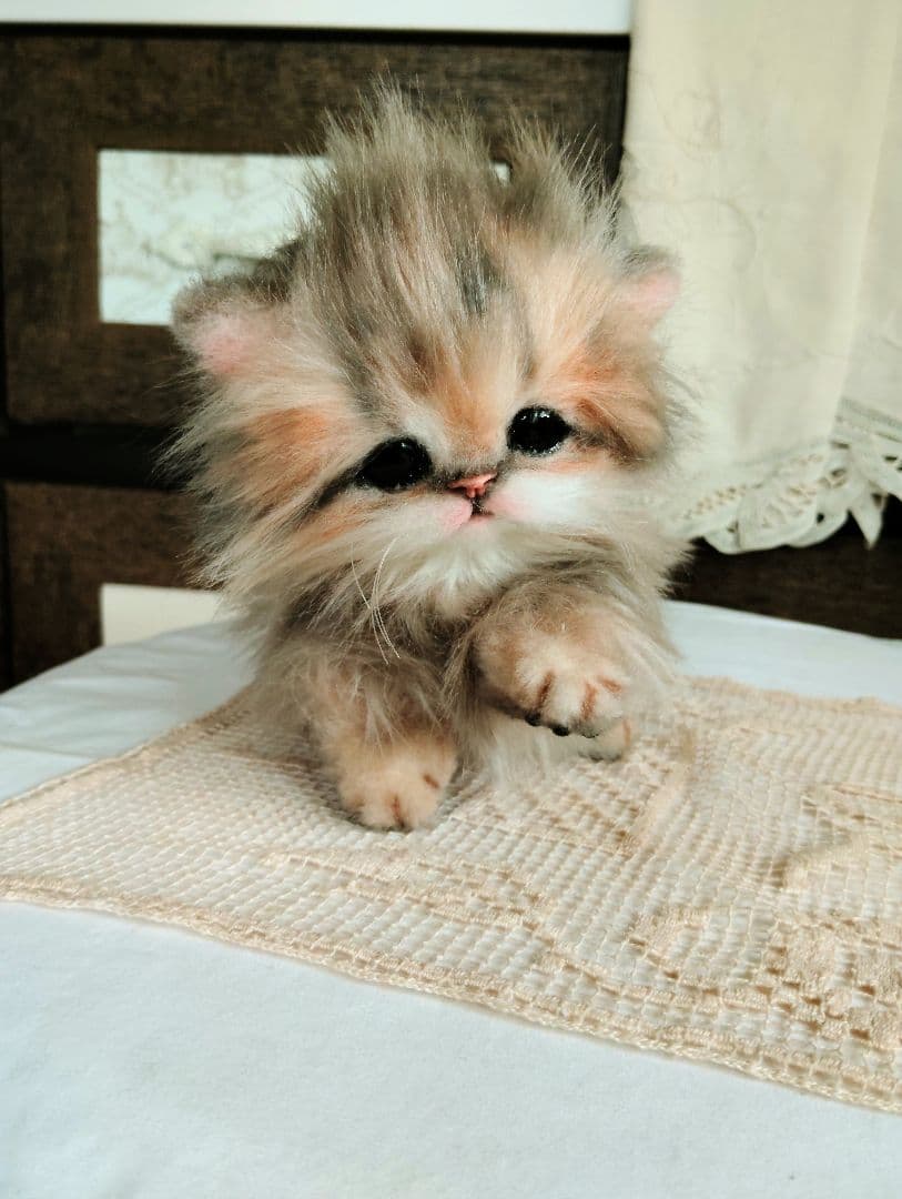 チンチラゴールデン♡子猫のプリンちゃん♡アートドール♡ぬいぐるみ♡