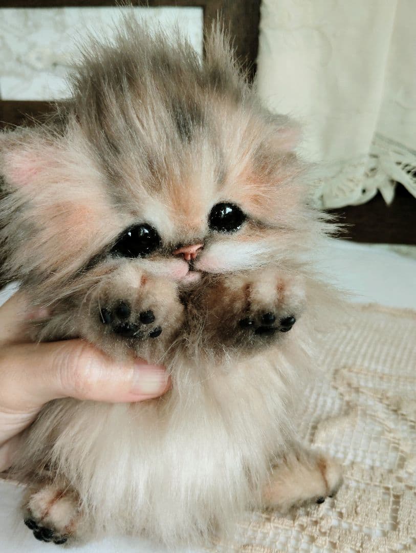 チンチラゴールデン♡子猫のプリンちゃん♡アートドール♡ぬいぐるみ♡