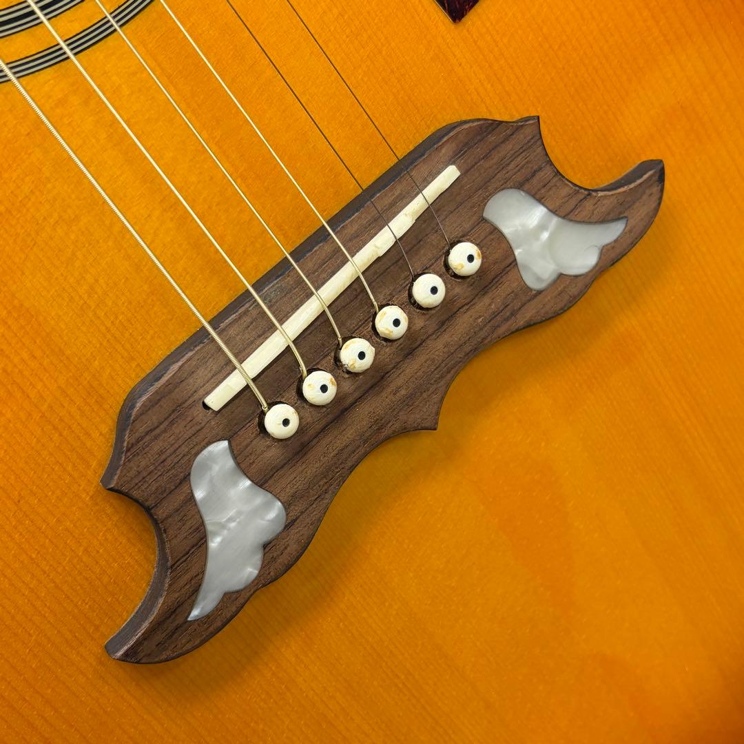 Epiphone エピフォン エレアコ DOVE PRO/VB