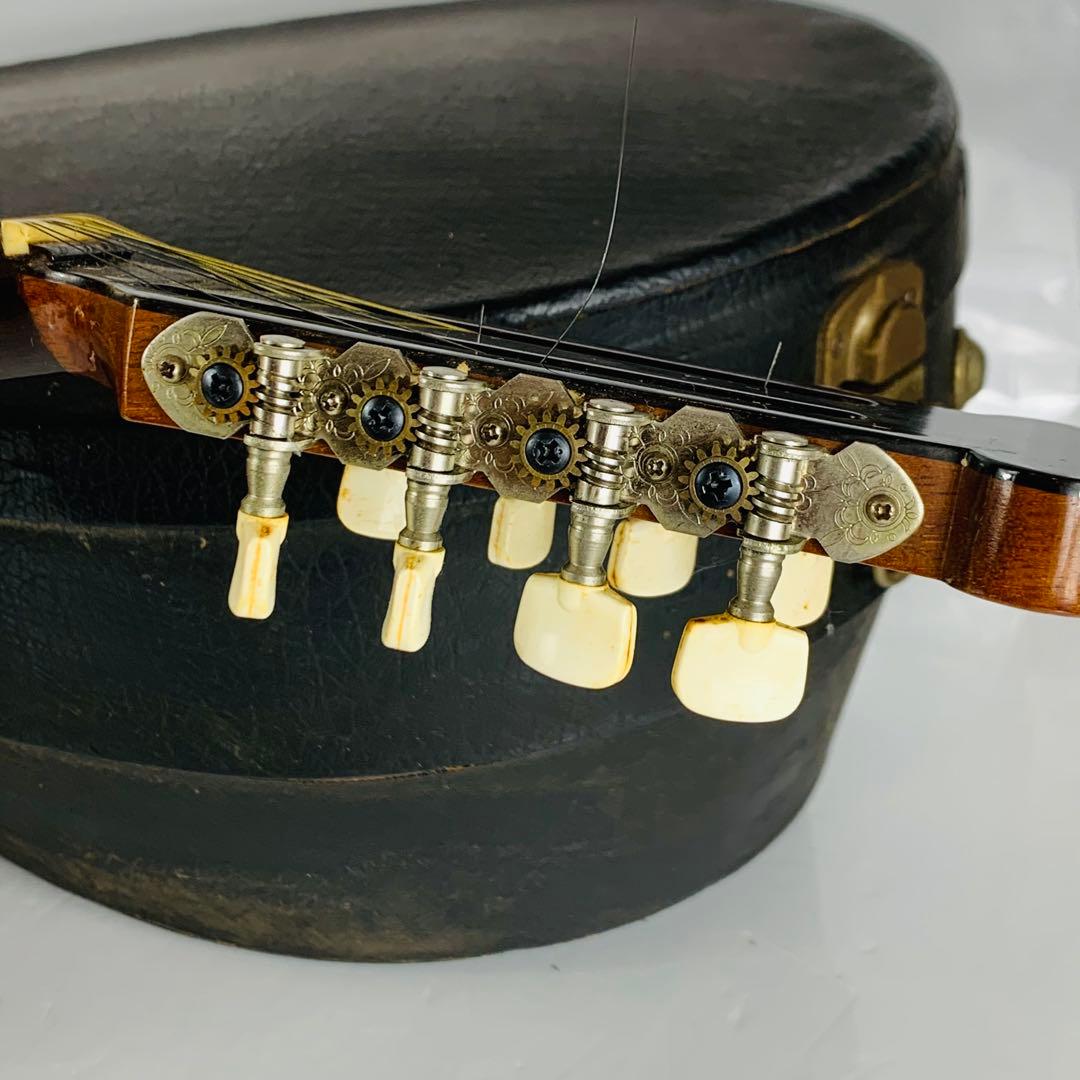 Raffaele マンドリン RM-2 石川捷二郎監修 ハードケース付