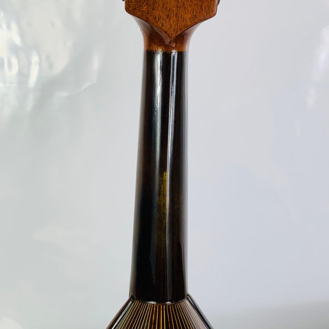 Raffaele マンドリン RM-2 石川捷二郎監修 ハードケース付