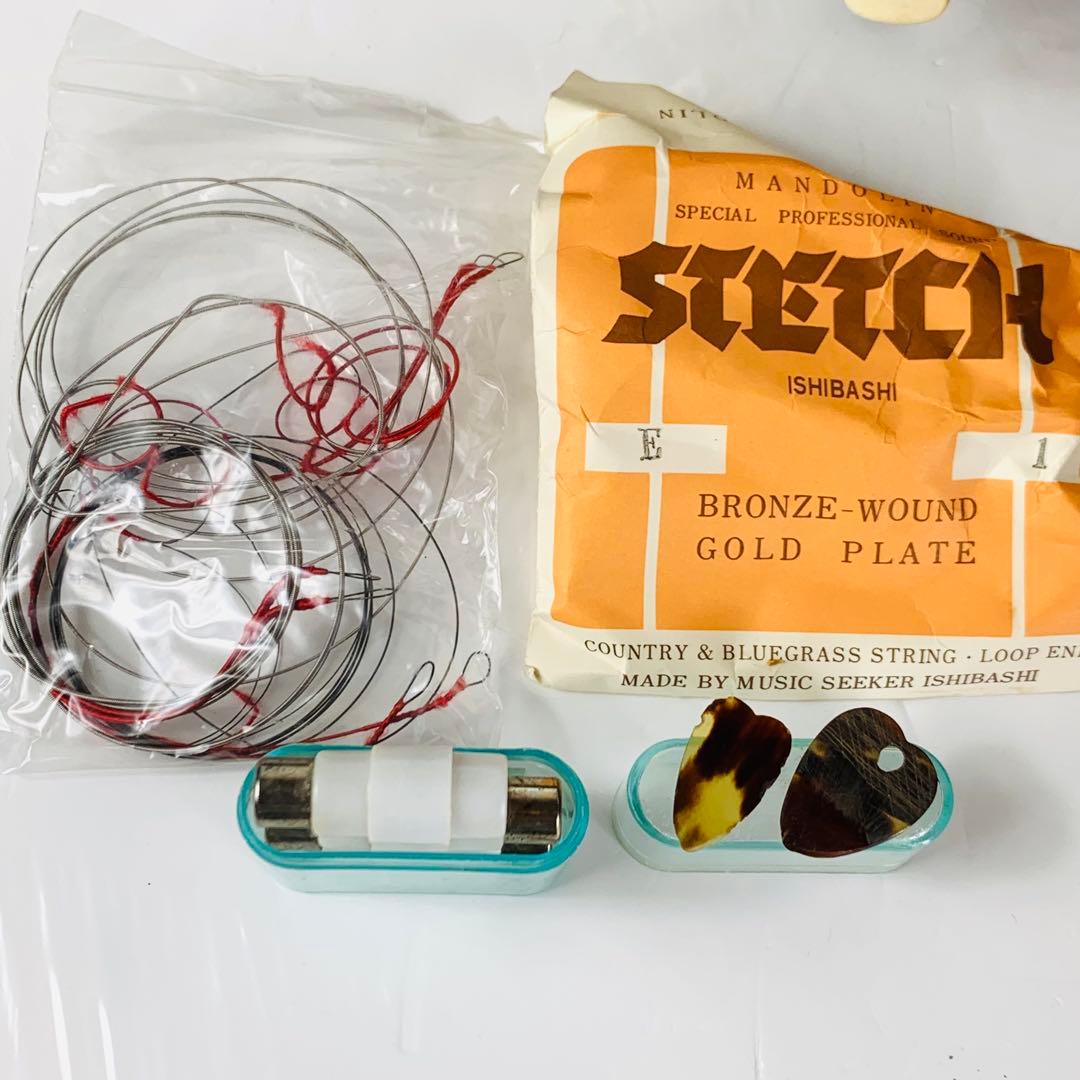 Raffaele マンドリン RM-2 石川捷二郎監修 ハードケース付