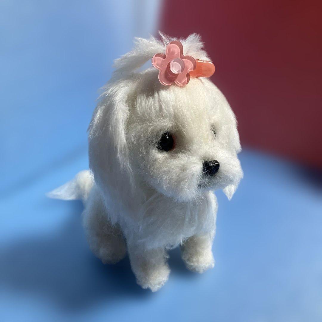 羊毛フェルトマルチーズ