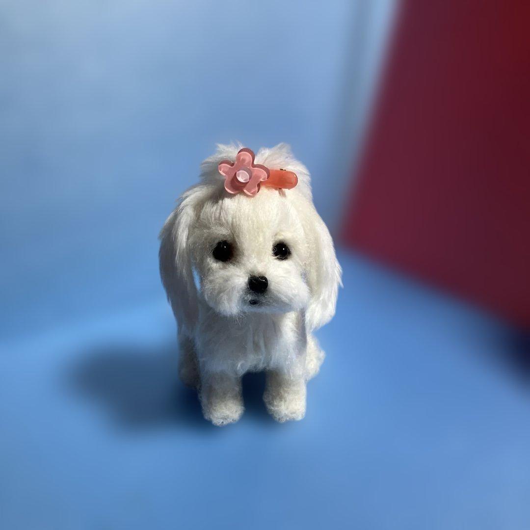 羊毛フェルトマルチーズ