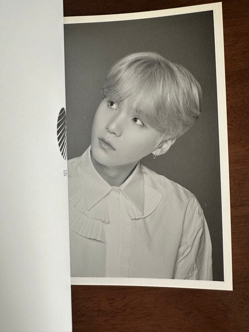 the wings tour ウィングズ ツアー 2017 フォトブック セット