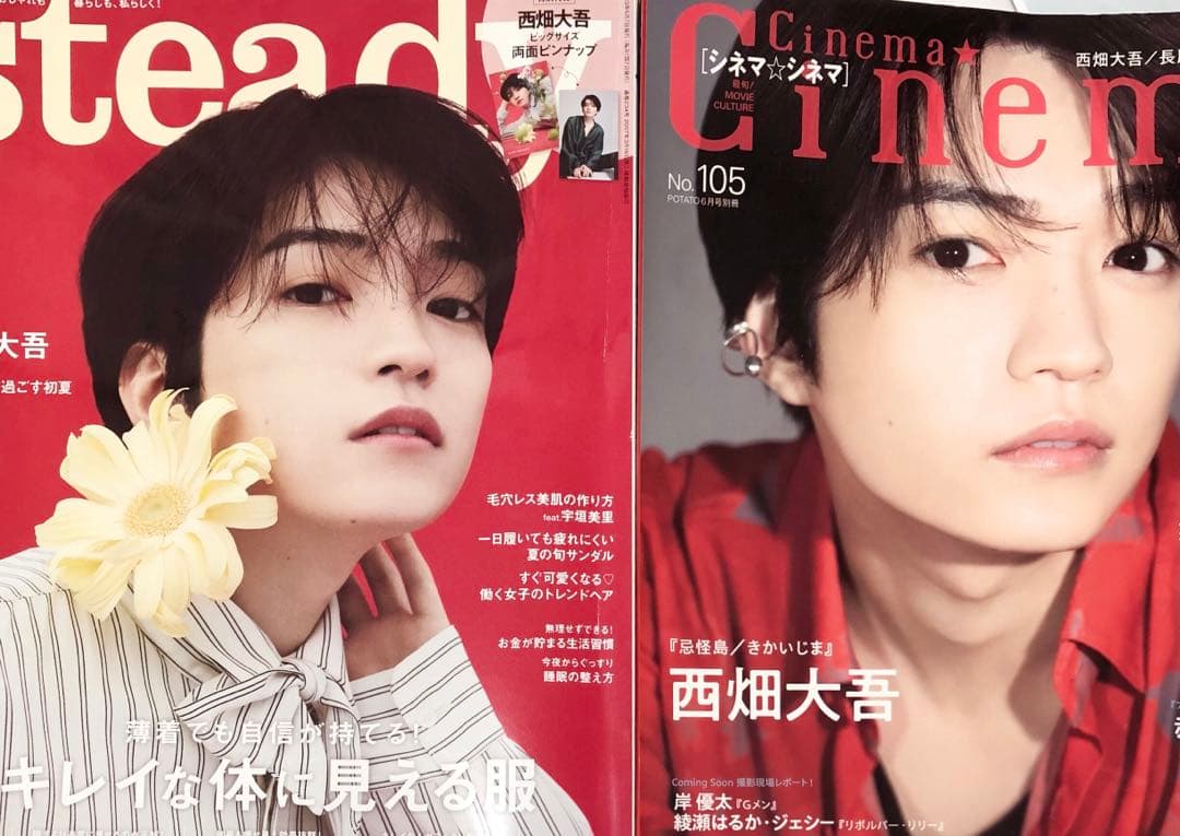【最終値下げ】なにわ男子 西畑大吾 グッズまとめ売りうちわ雑誌エロハンちびぬい服