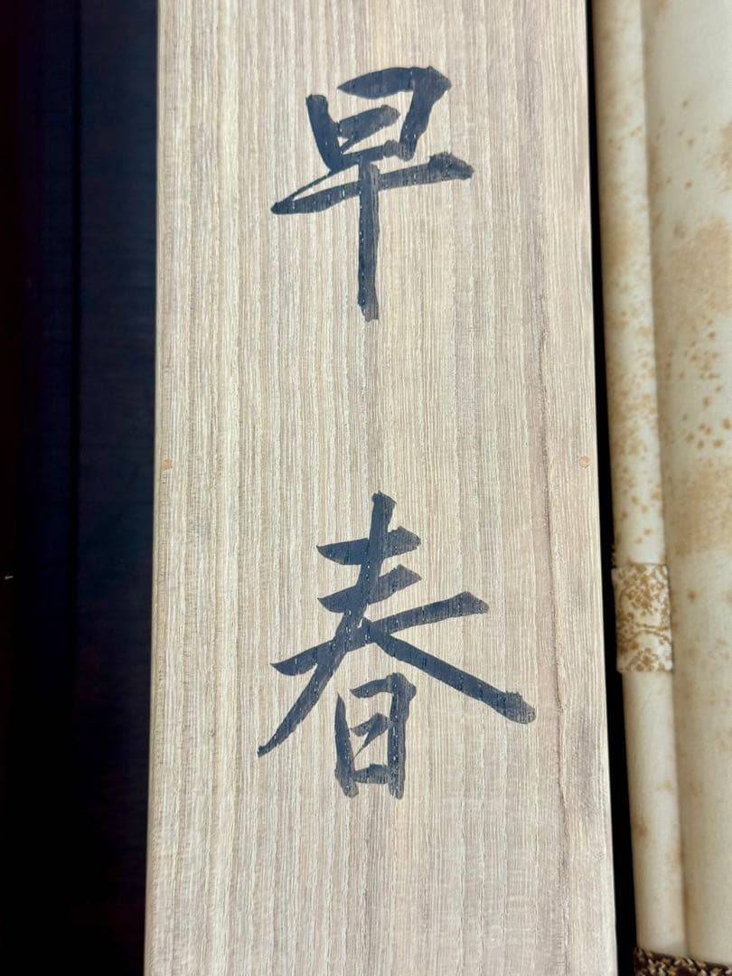 【 山下 巌 】【 早春 】絹本彩色 日本画 軸装 共箱・二重箱・太巻軸棒 牙軸