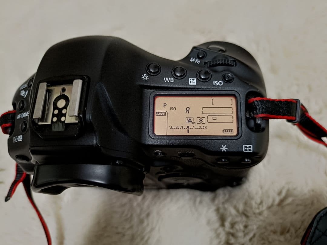 Canon EOS-1D X　フルサイズ