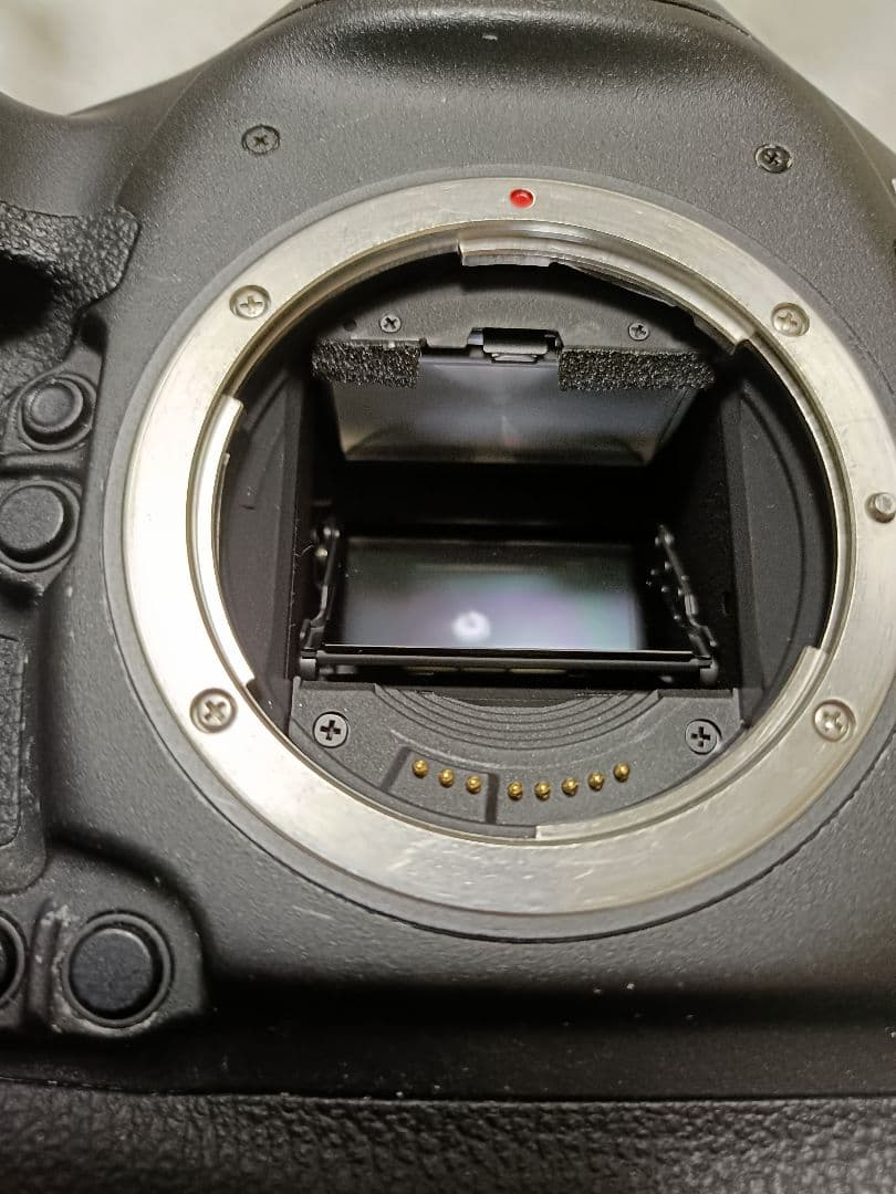 Canon EOS-1D X　フルサイズ