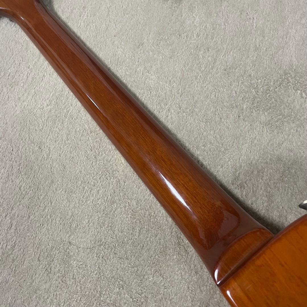 Burny レスポール トラ目　シリアルなし バーニー フェルナンデス