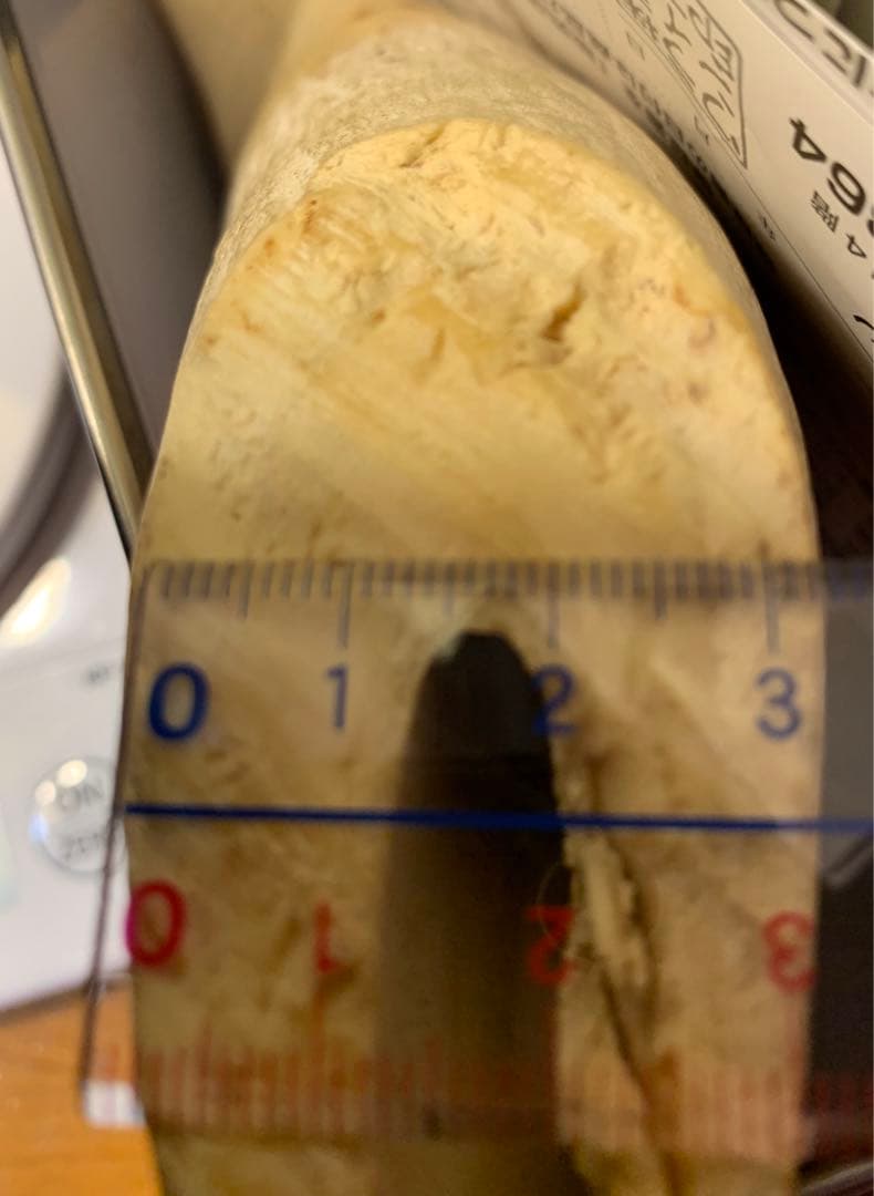 マッコウクジラ 歯 鯨歯 特大 575g 印材や工芸品の素材などに