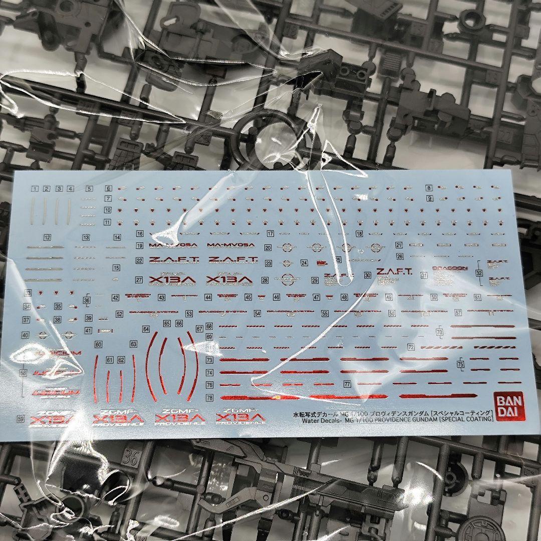 21024✨MG 1/100 プロヴィデンスガンダム スペシャルコーティング