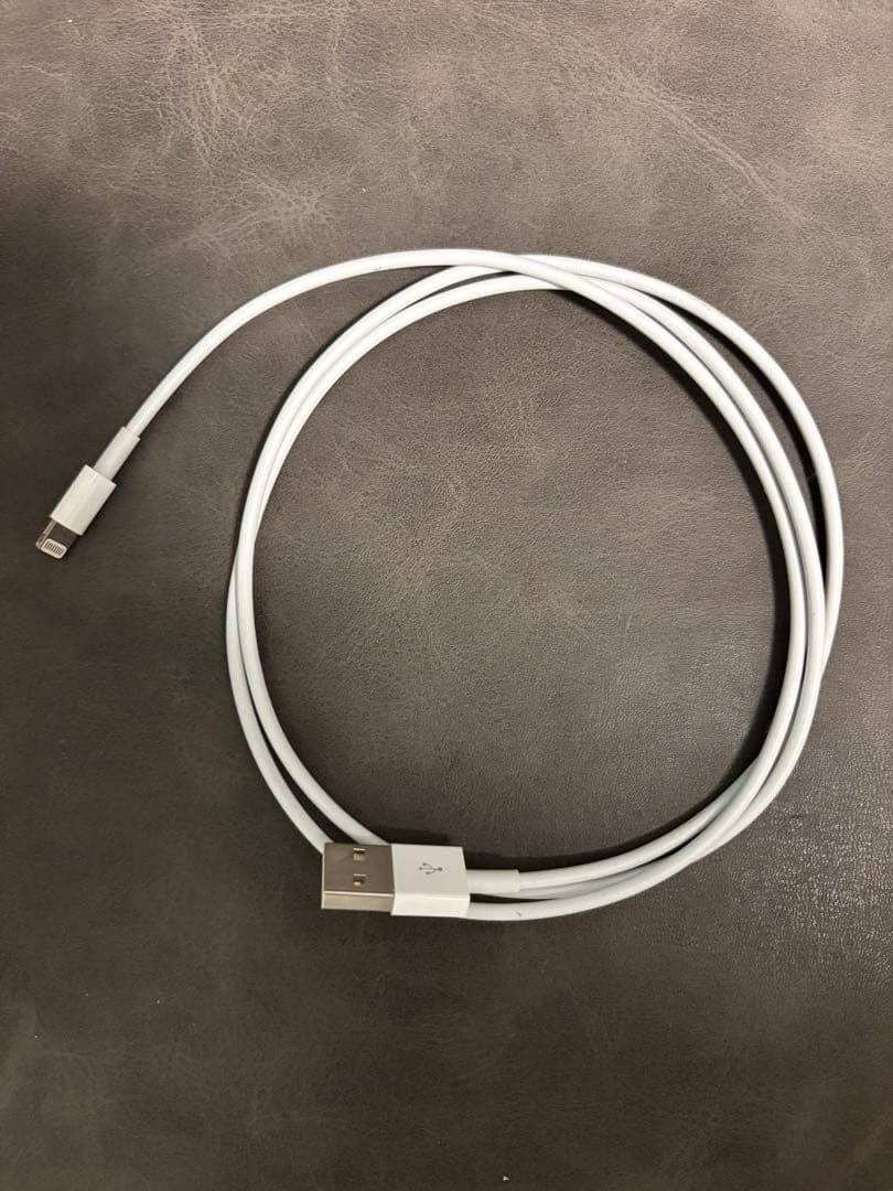 AirPods Pro 第1世代 本体 充電ケース付き、おまけ付き