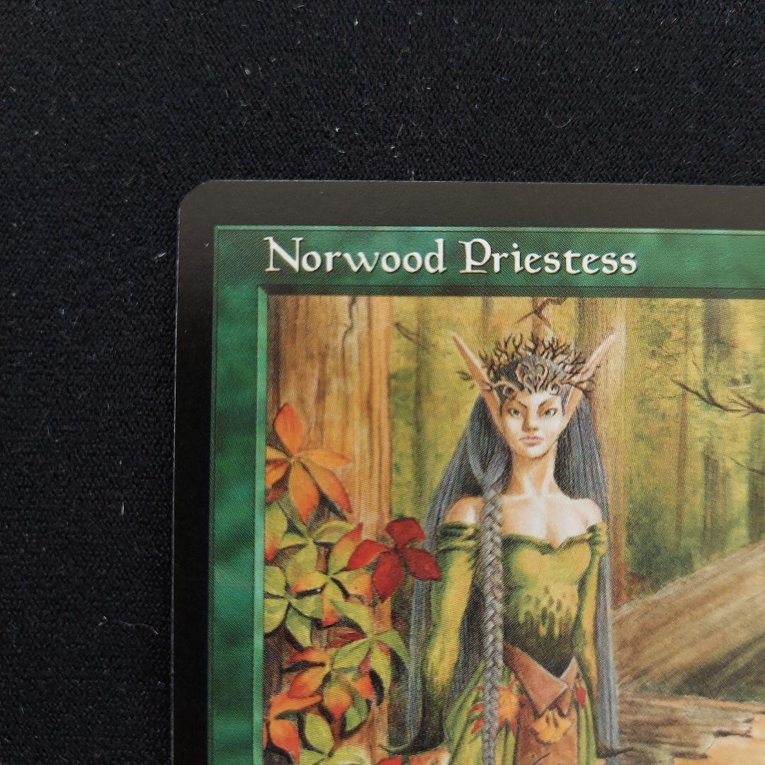 MTG ポータルセカンドエイジ　英語版　緑属性　ノーウッドの女司祭