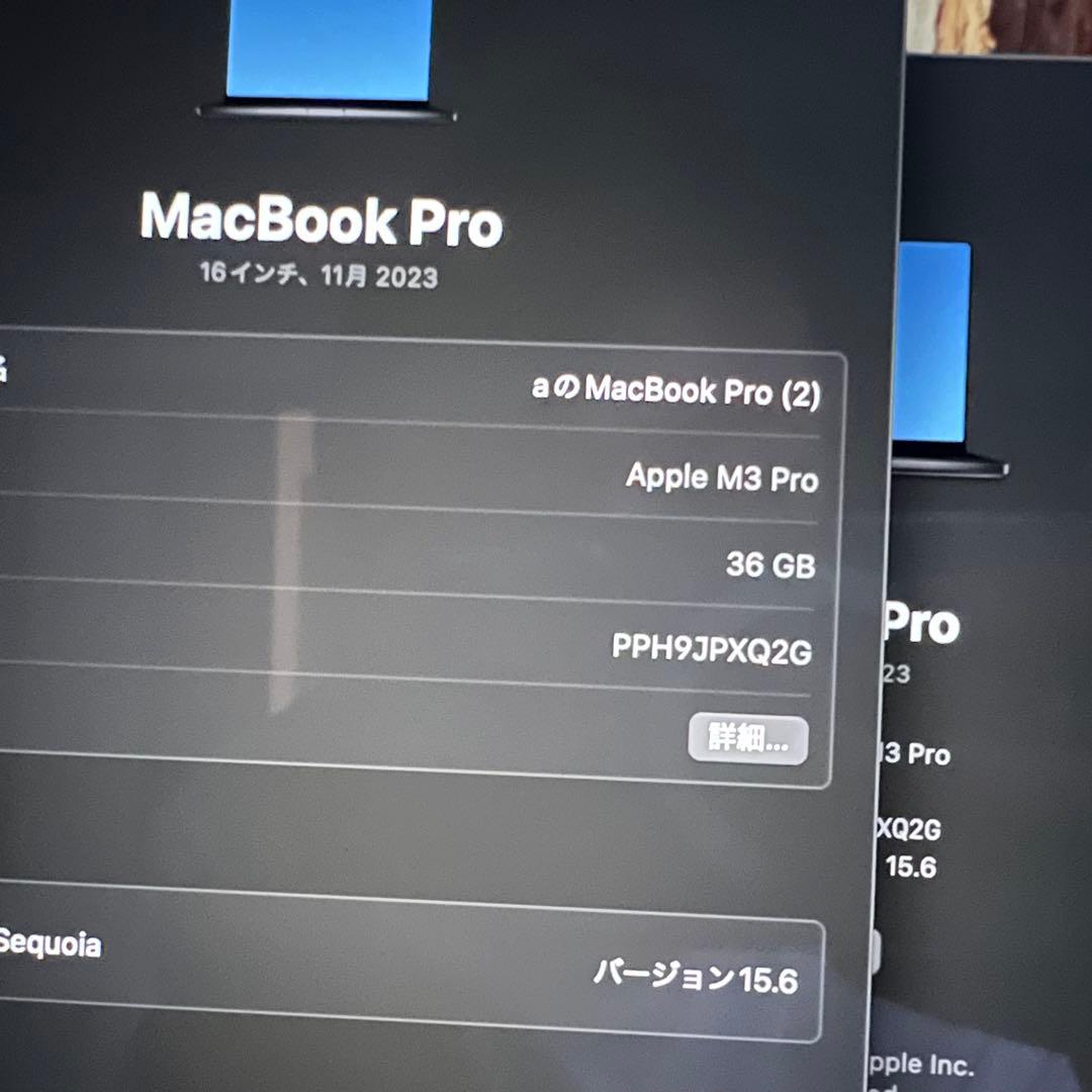 極美品 MacBook M3Pro 36GB 本体 1TB 16インチ 私物